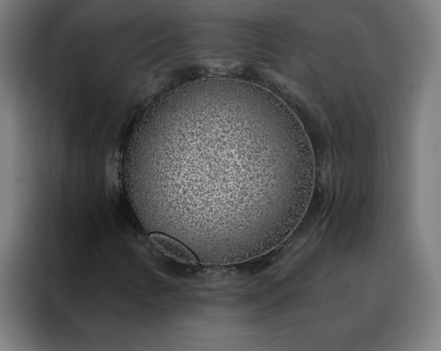 X0000088181346200705221634