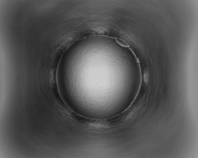 X0000088181347200705221634