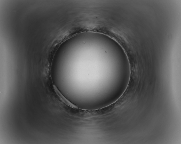 X0000088181349200705221634