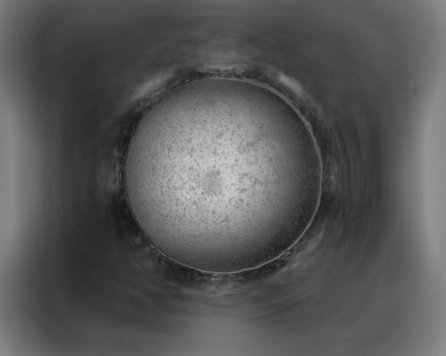 X0000088181350200705221634