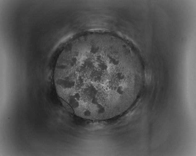 X0000088181351200705221634