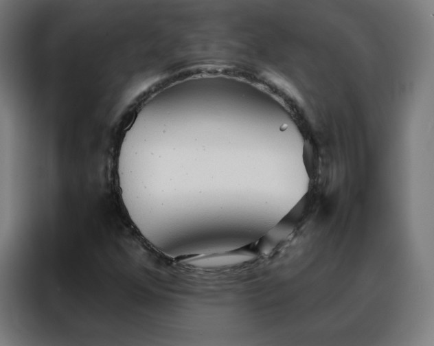 X0000088181352200705221634