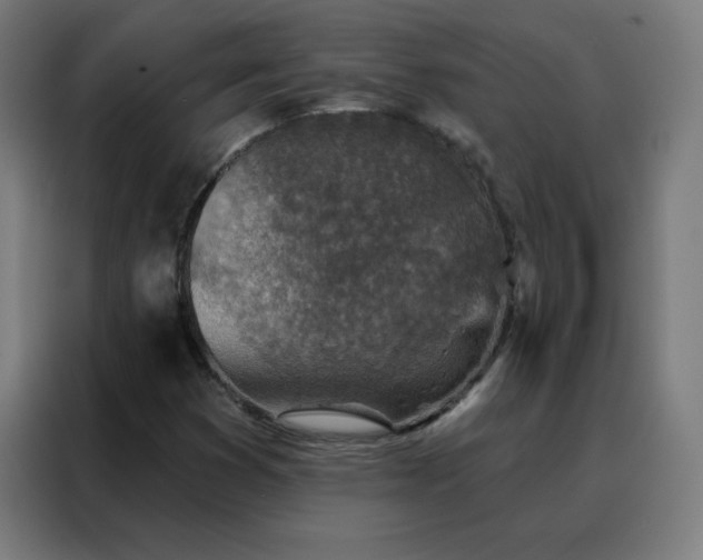 X0000088181353200705221634