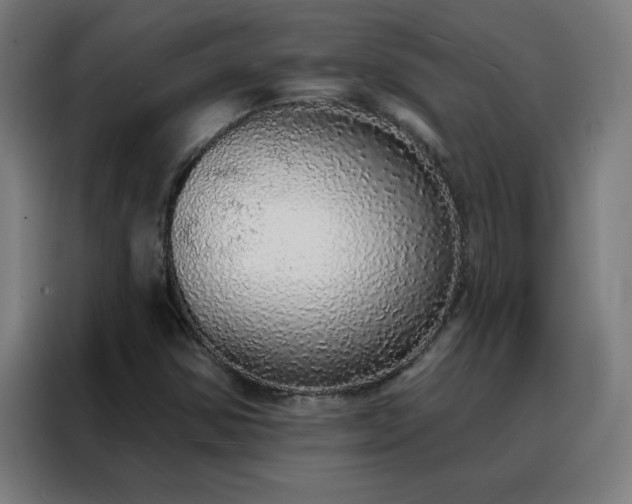 X0000088181354200705221634