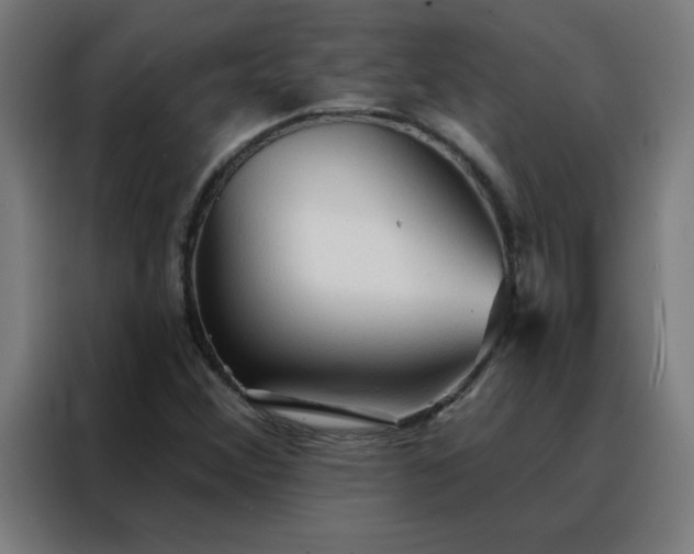X0000088181356200705221634