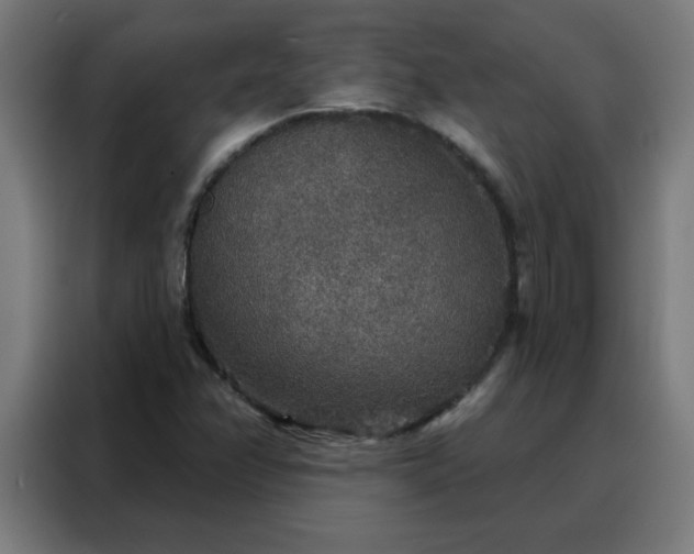 X0000088181358200705221634