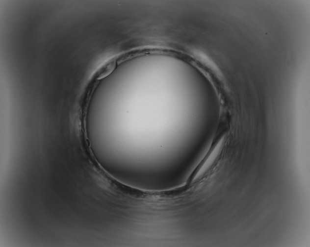 X0000088181360200705221634