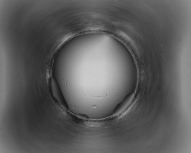 X0000088181361200705221634