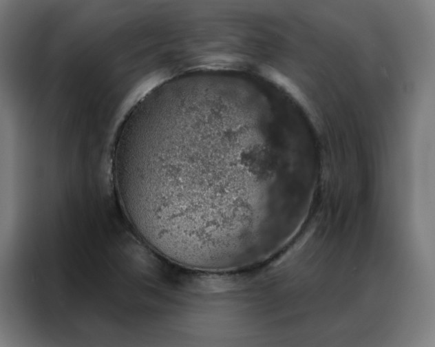X0000088181362200705221634
