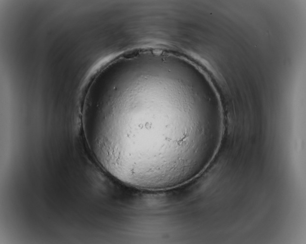 X0000088181363200705221634