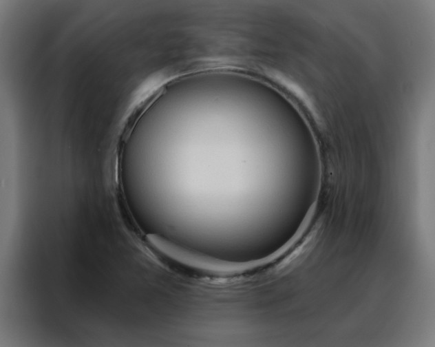 X0000088181365200705221633