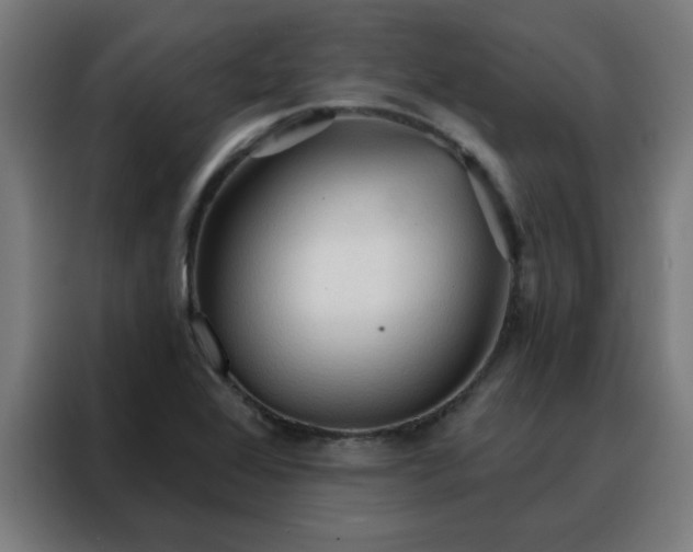X0000088181368200705221633