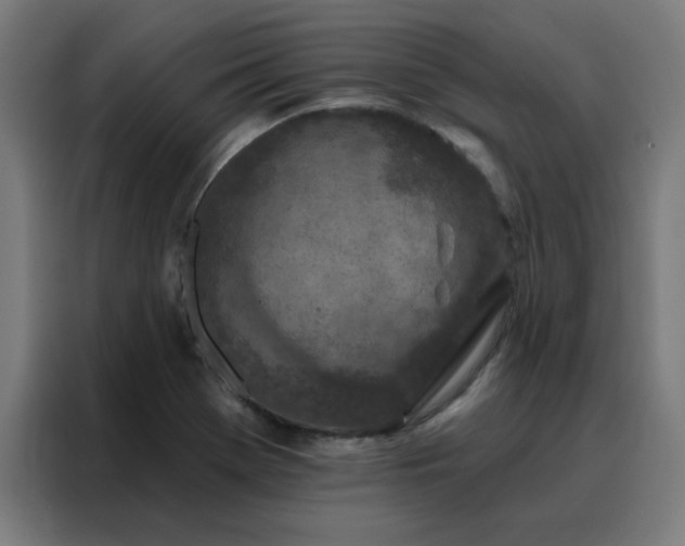 X0000088181369200705221633