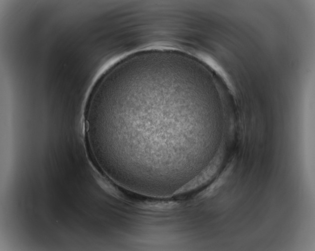 X0000088181372200705221633