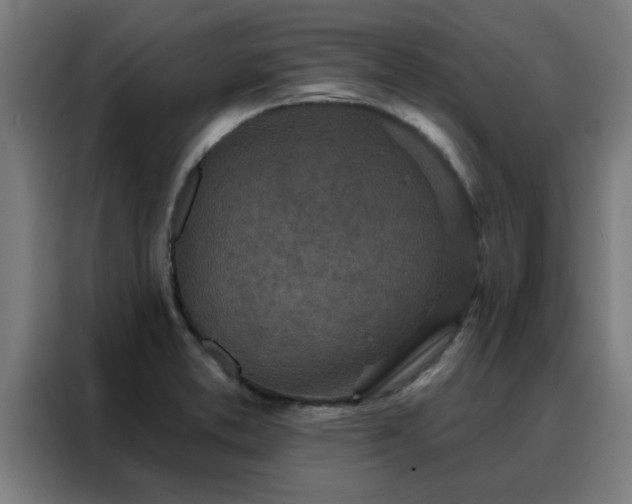 X0000088181373200705221633