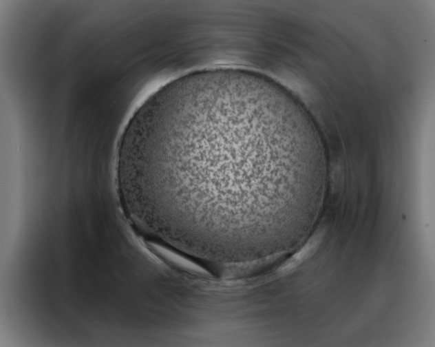 X0000088181374200705221633