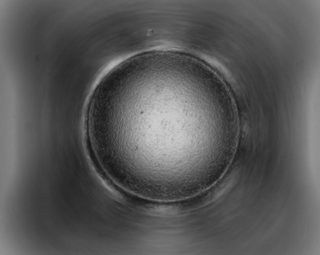 X0000088181375200705221633