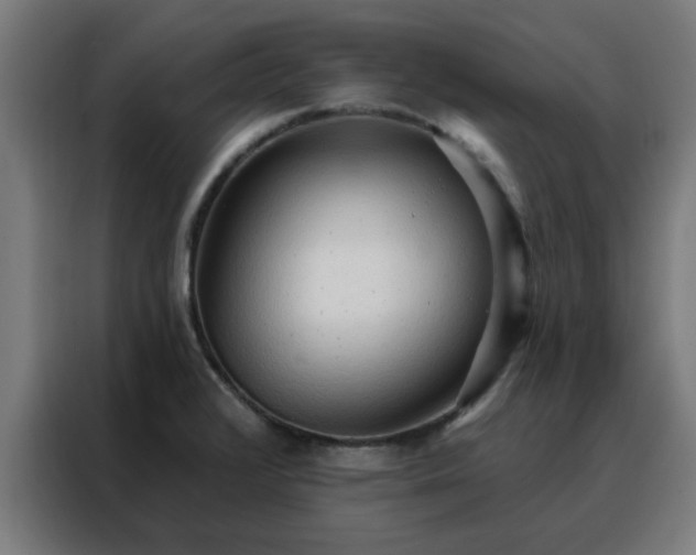 X0000088181376200705221633
