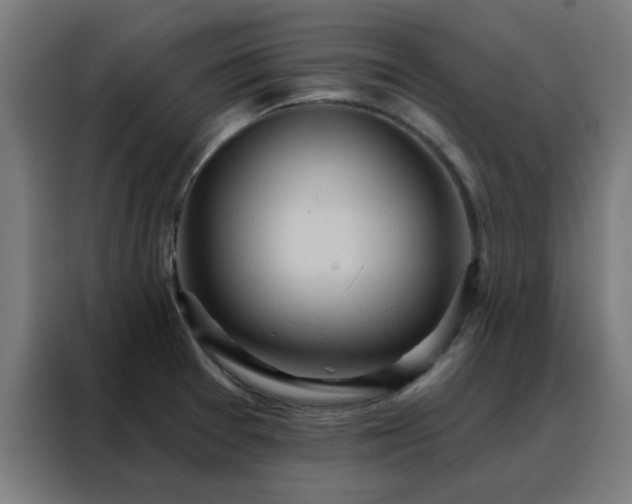 X0000088181377200705221633