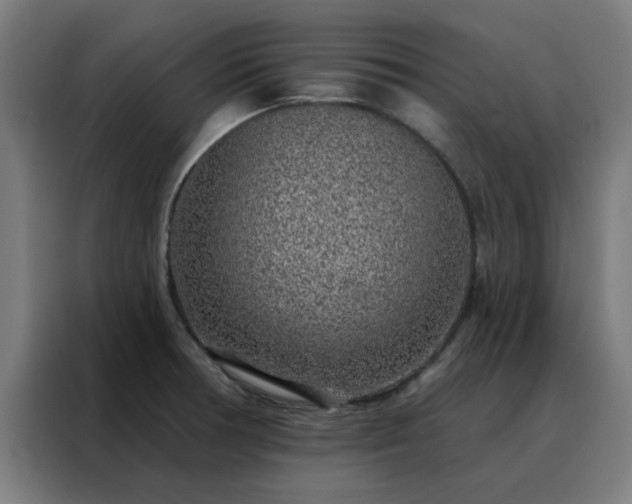 X0000088181378200705221633
