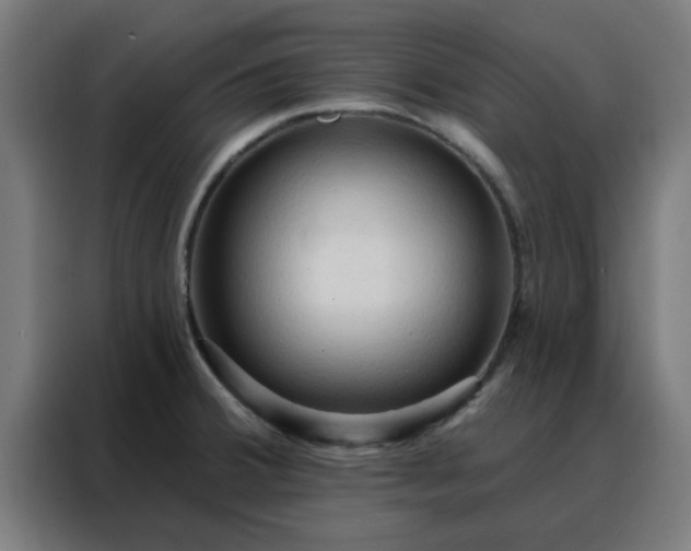 X0000088181380200705221633