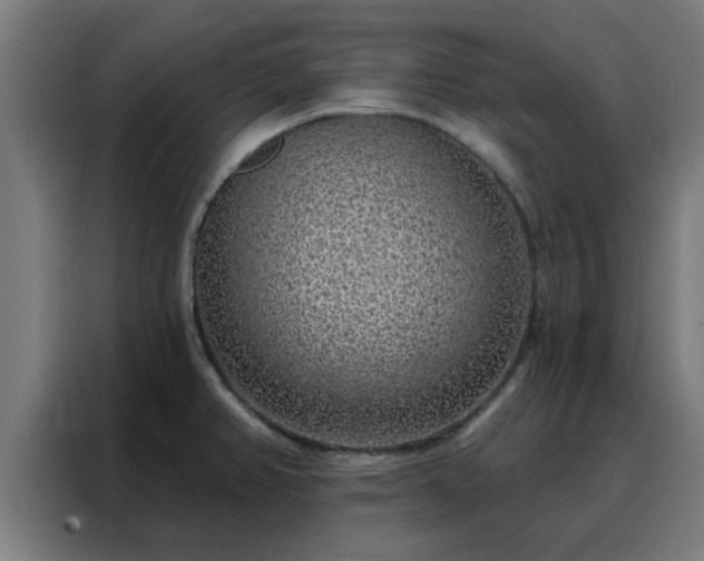 X0000088181382200705221633
