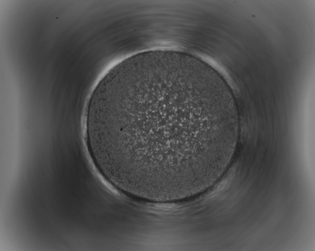 X0000088181383200705221633