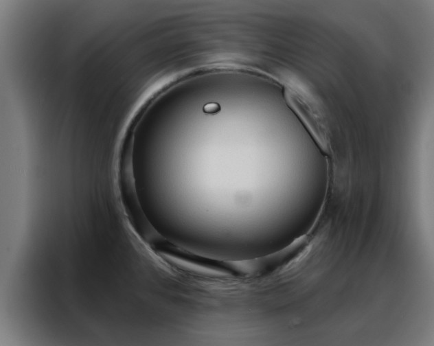 X0000088181384200705221633