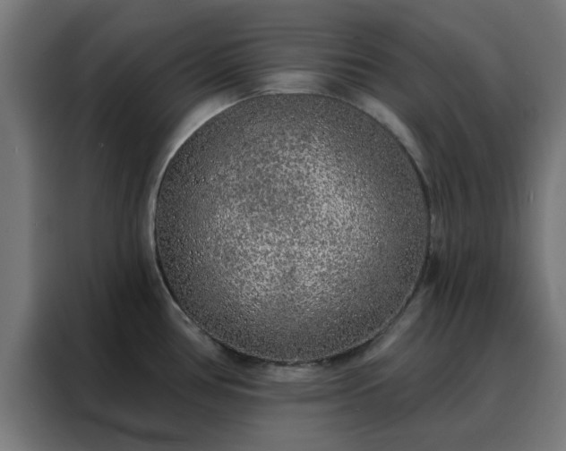 X0000088181386200705221633