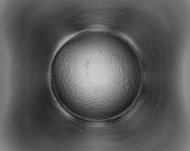 X0000088181387200705221633