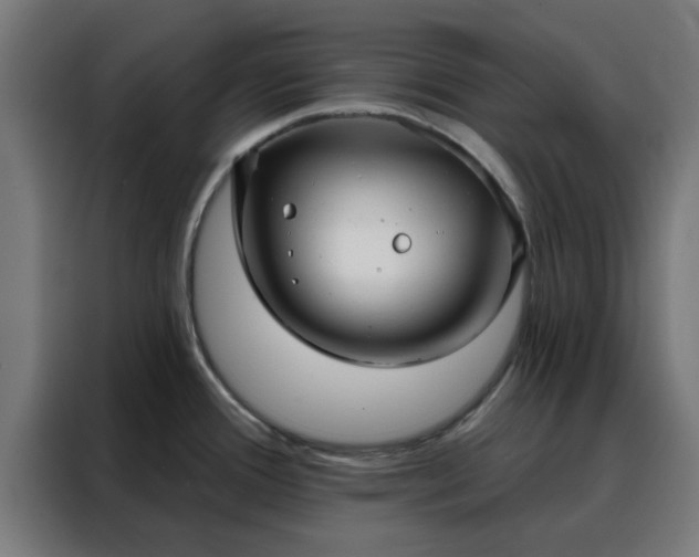 X0000088181388200705221633