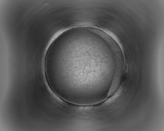 X0000088181389200705221633