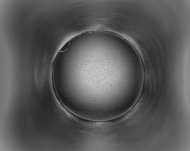 X0000088181390200705221633