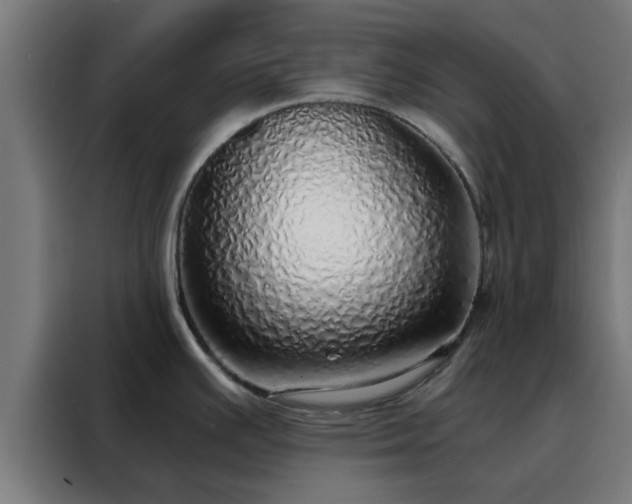 X0000088181391200705221633