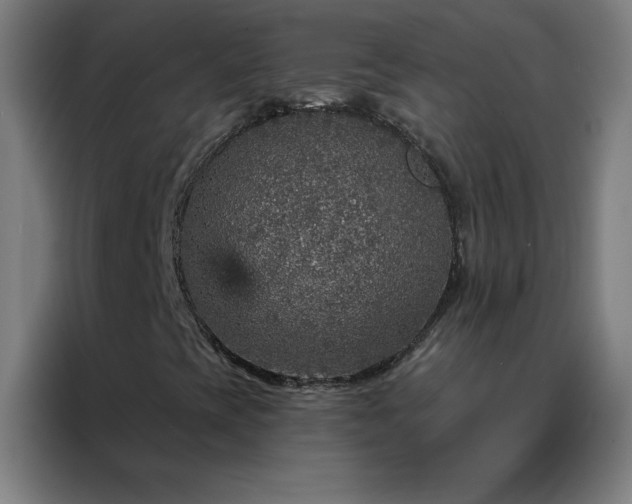 X0000088181393200705221633