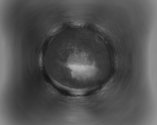 X0000088181394200705221633
