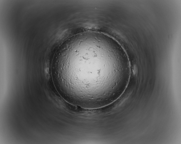X0000088181396200705221633