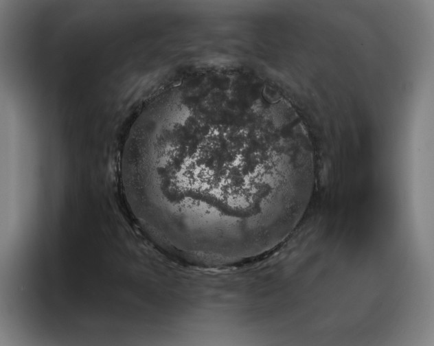 X0000088181397200705221633