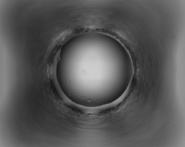 X0000088181398200705221633