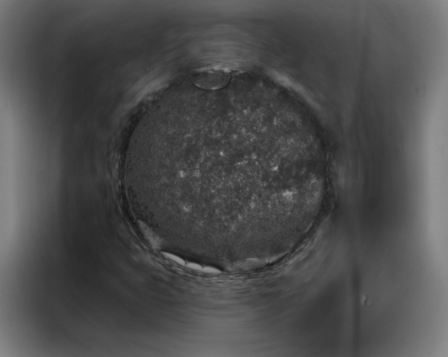 X0000088181399200705221633