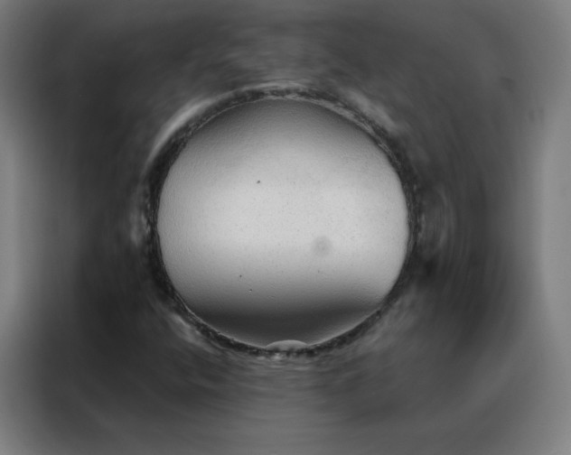 X0000088181400200705221633