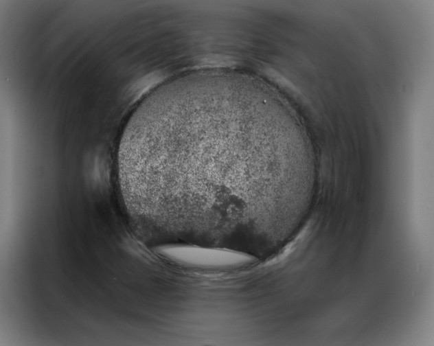 X0000088181401200705221633