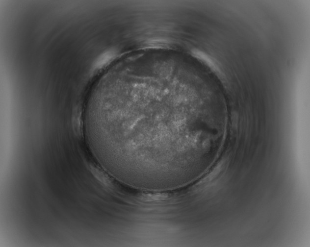 X0000088181403200705221633
