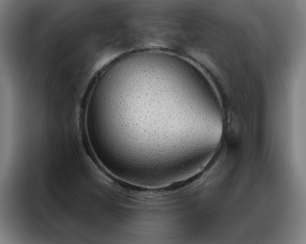 X0000088181404200705221633