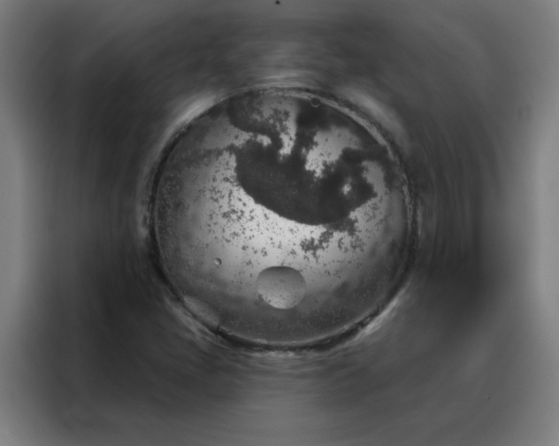 X0000088181405200705221633