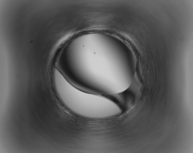 X0000088181406200705221633