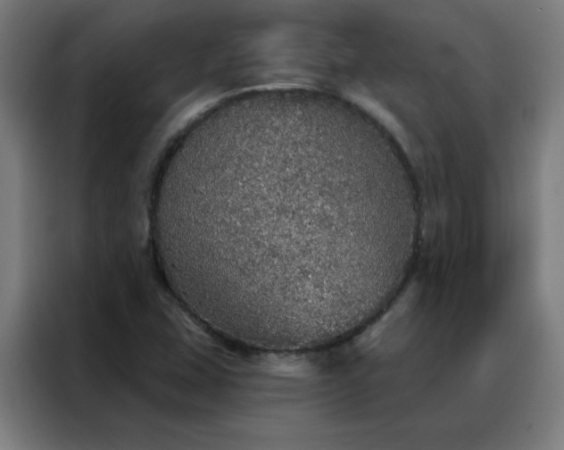 X0000088181407200705221633