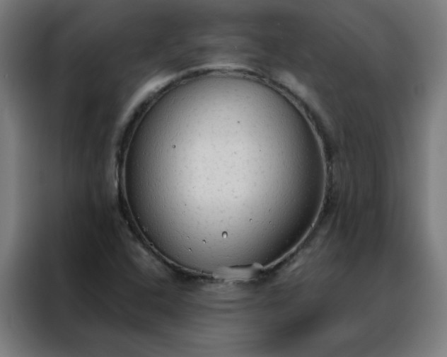 X0000088181408200705221633