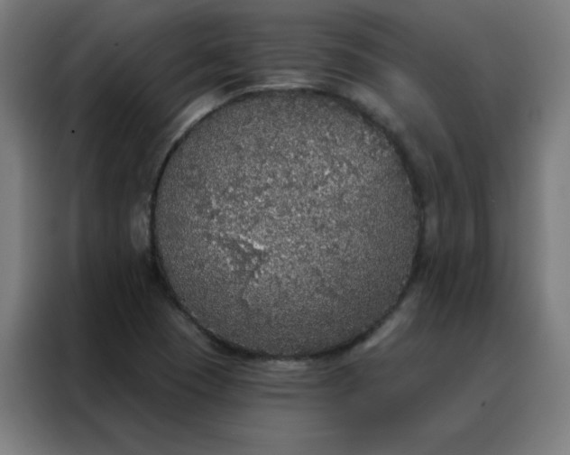X0000088181409200705221633