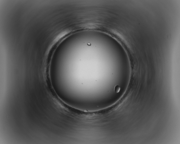 X0000088181410200705221633